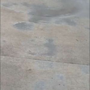 Meet your Posher, Avery